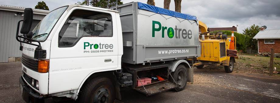 protree truck protree truck